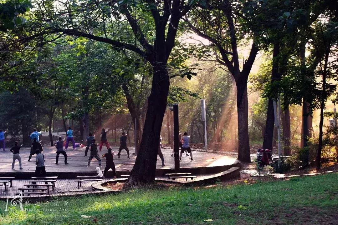 潍坊五一免费旅游景点推荐,潍坊五一去哪旅游推荐