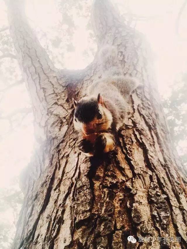 记录了在斯里兰卡美好的回忆,斯里兰卡之旅留下的美好回忆