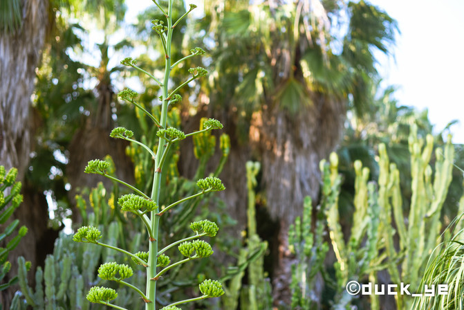 厦门网红拍照打卡地高铁,厦门旅游网红拍照