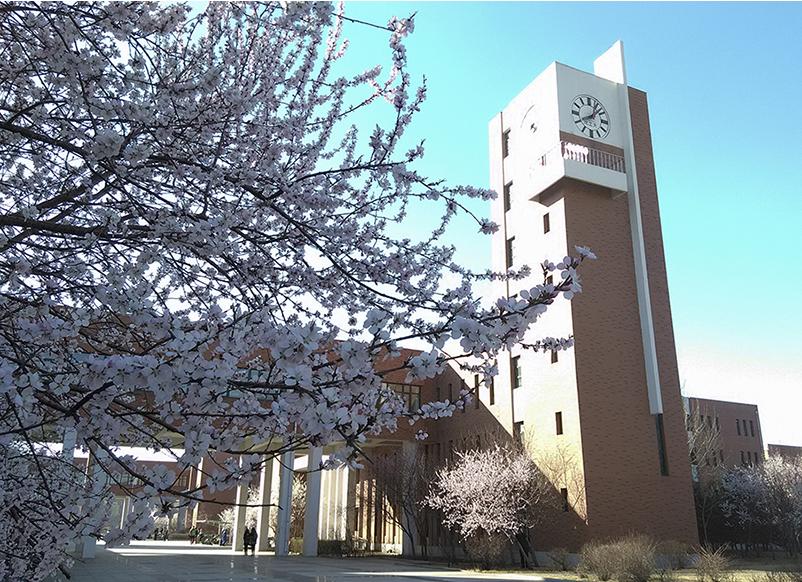 2021月收入最高的专业揭晓！这所大学10个专业强势上榜！