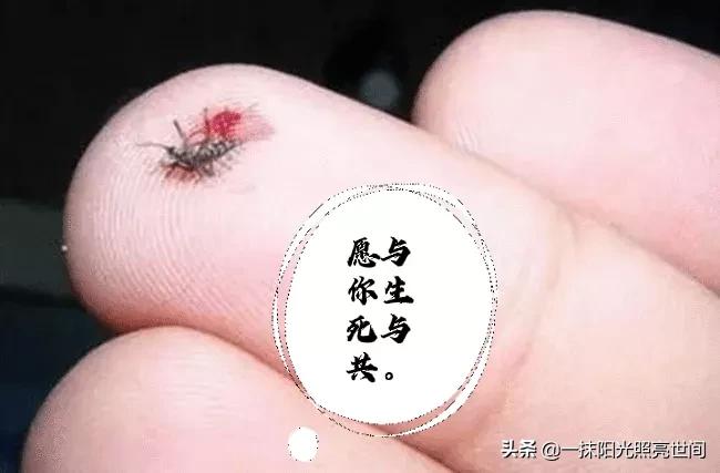 农村生活有几个人能懂,农村你了解多少