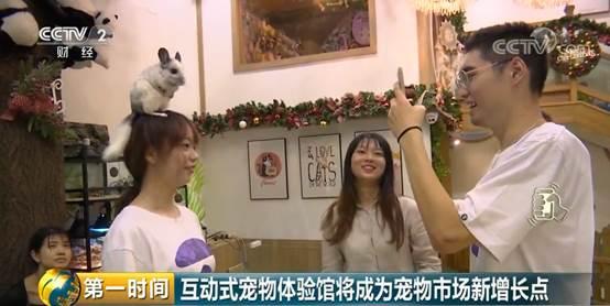 给宠物整个造型，要花5000块钱？小宠物大市场：宠物行业总市值首次破2000亿