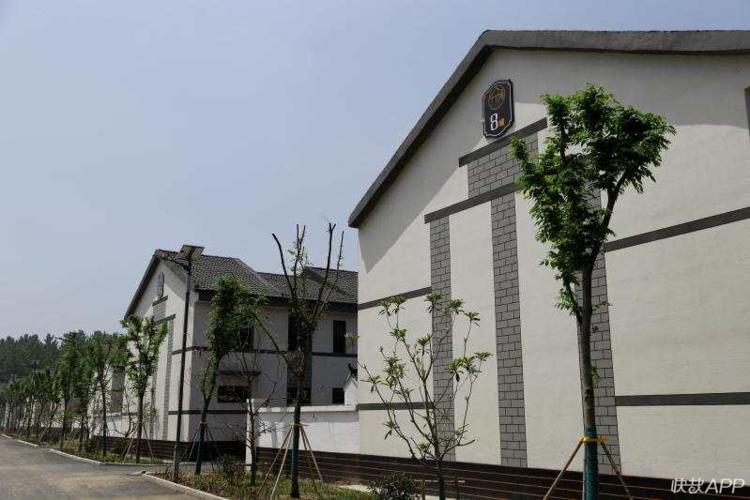 搬得出住得好能致富！徐州这个村260户居民乔迁新居