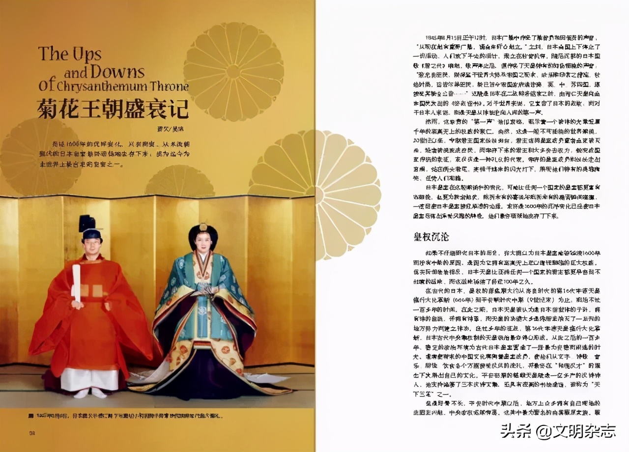 菊花王朝盛衰记,菊花王朝故事