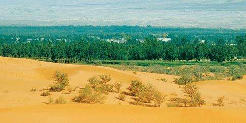 吹响优质北方人去往南方的号角：孔雀东南飞！