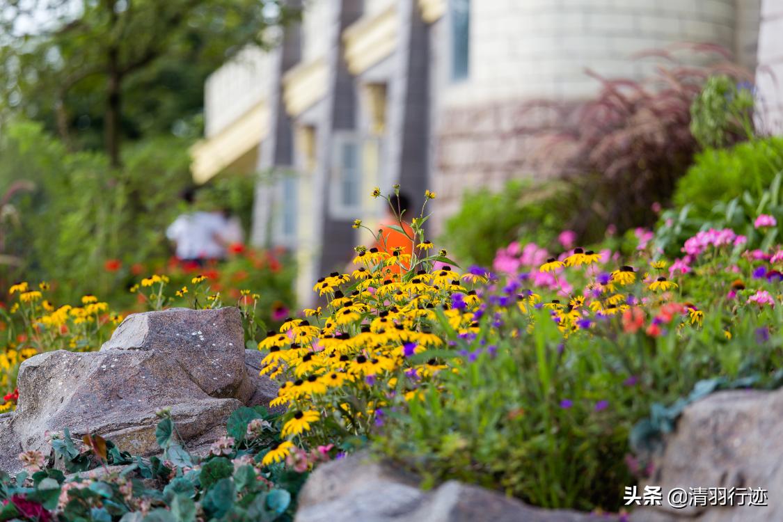 四川天然氧吧旅游推荐,四川天然氧吧有哪些地方
