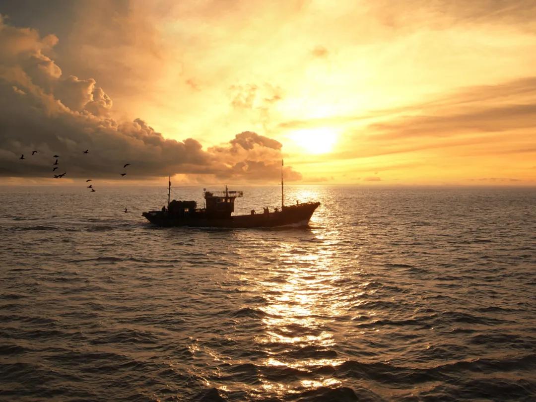 金沙滩旅游攻略门票,金沙滩免门票