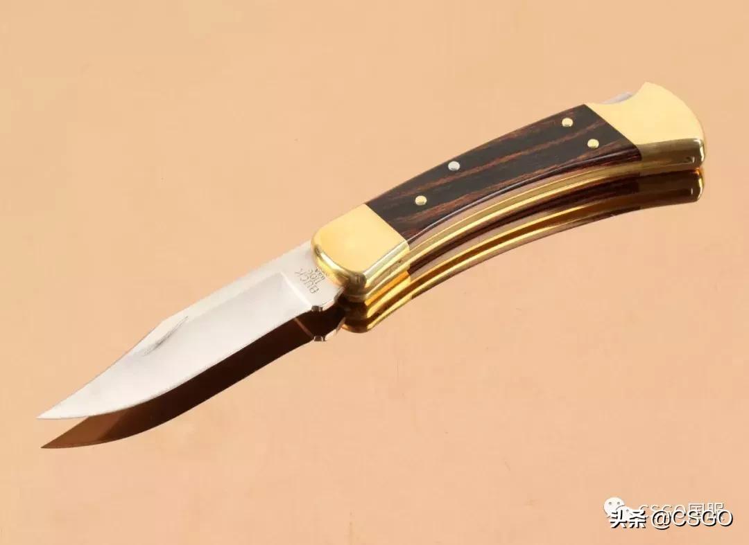 「刀说」第4期:杀猪刀——百年如一的美国BUCK刀