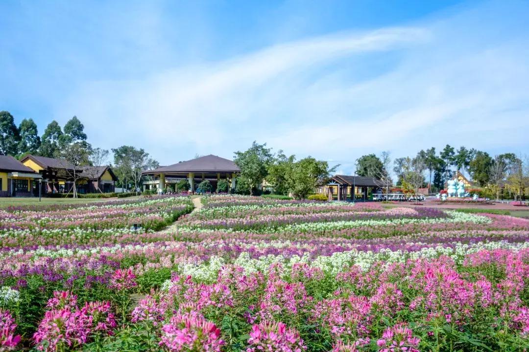 中秋优惠团购景区,团购石象湖门票