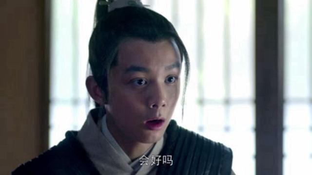 梅长苏蔺晨结局,蔺晨给梅长苏心力交瘁