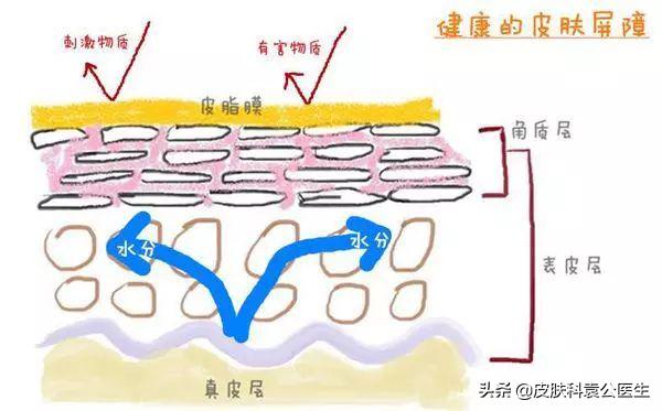 新冠肺炎皮肤科相关防护及诊疗规范（二）