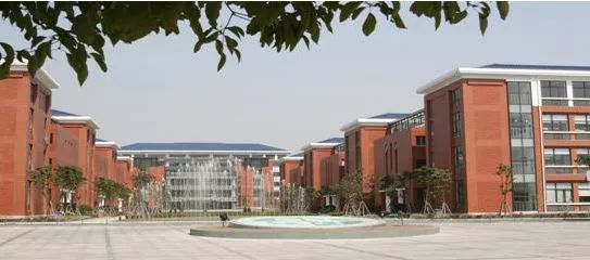 8个“华二”9个“上外”...请问这些学校谁能分得清啊？我太难了