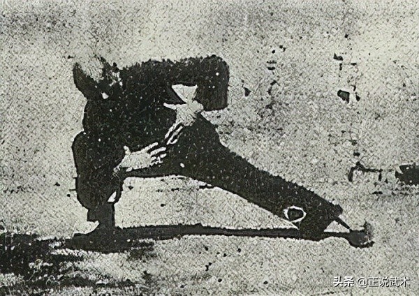 陈家沟陈照丕几个徒弟,陈家沟王雁大师与陈照丕谁功夫好