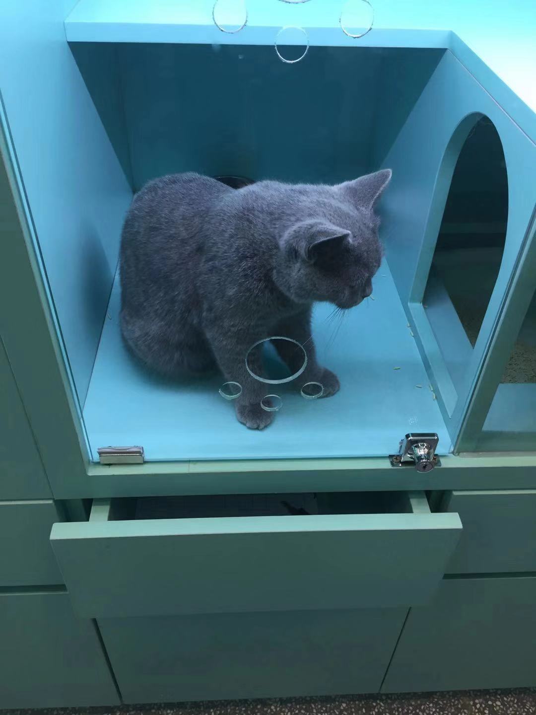 如何开一间橱柜工厂店铺,开好一家橱柜店需要具备哪些条件