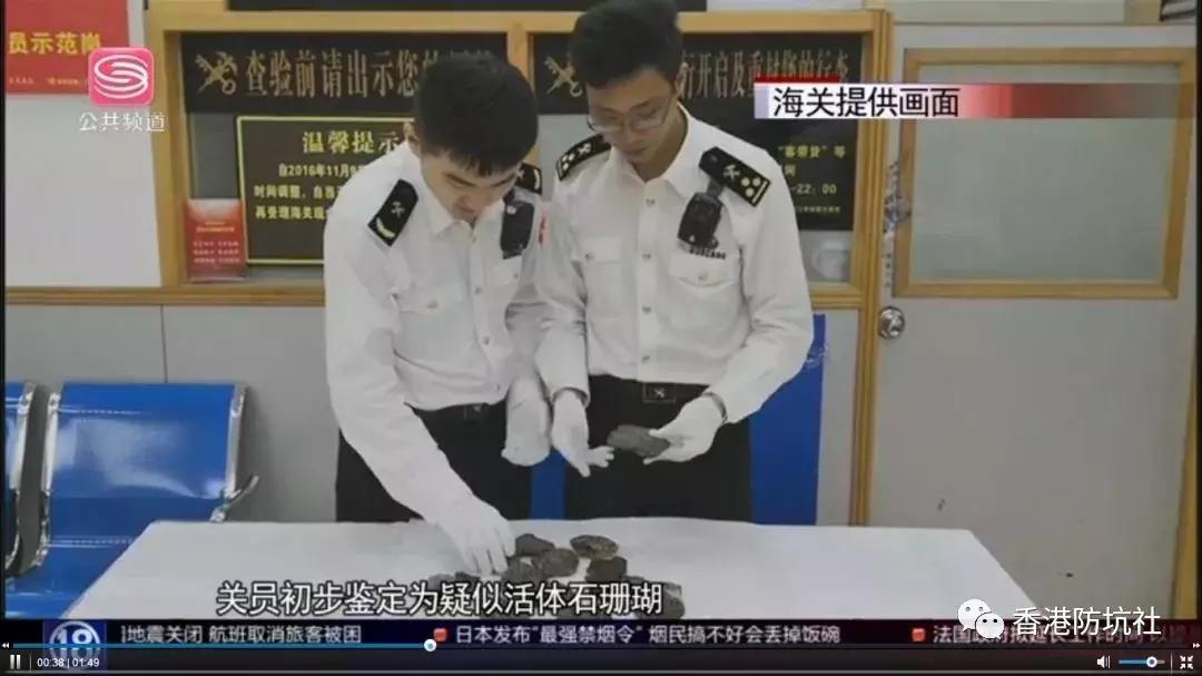 过香港海关有必要戴防护帽吗,香港海关违禁品清单