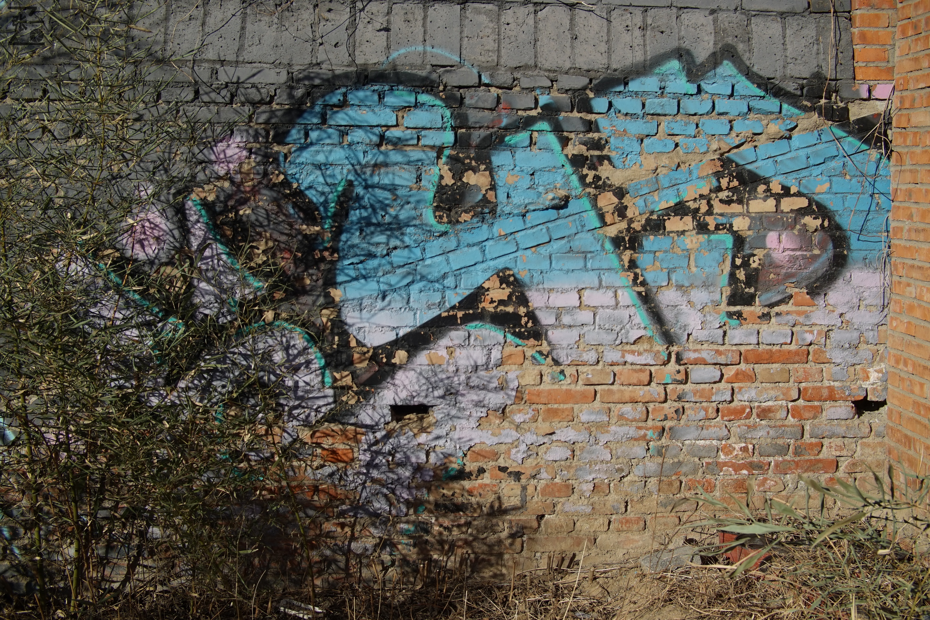 中国产微单,24-135镜头索尼