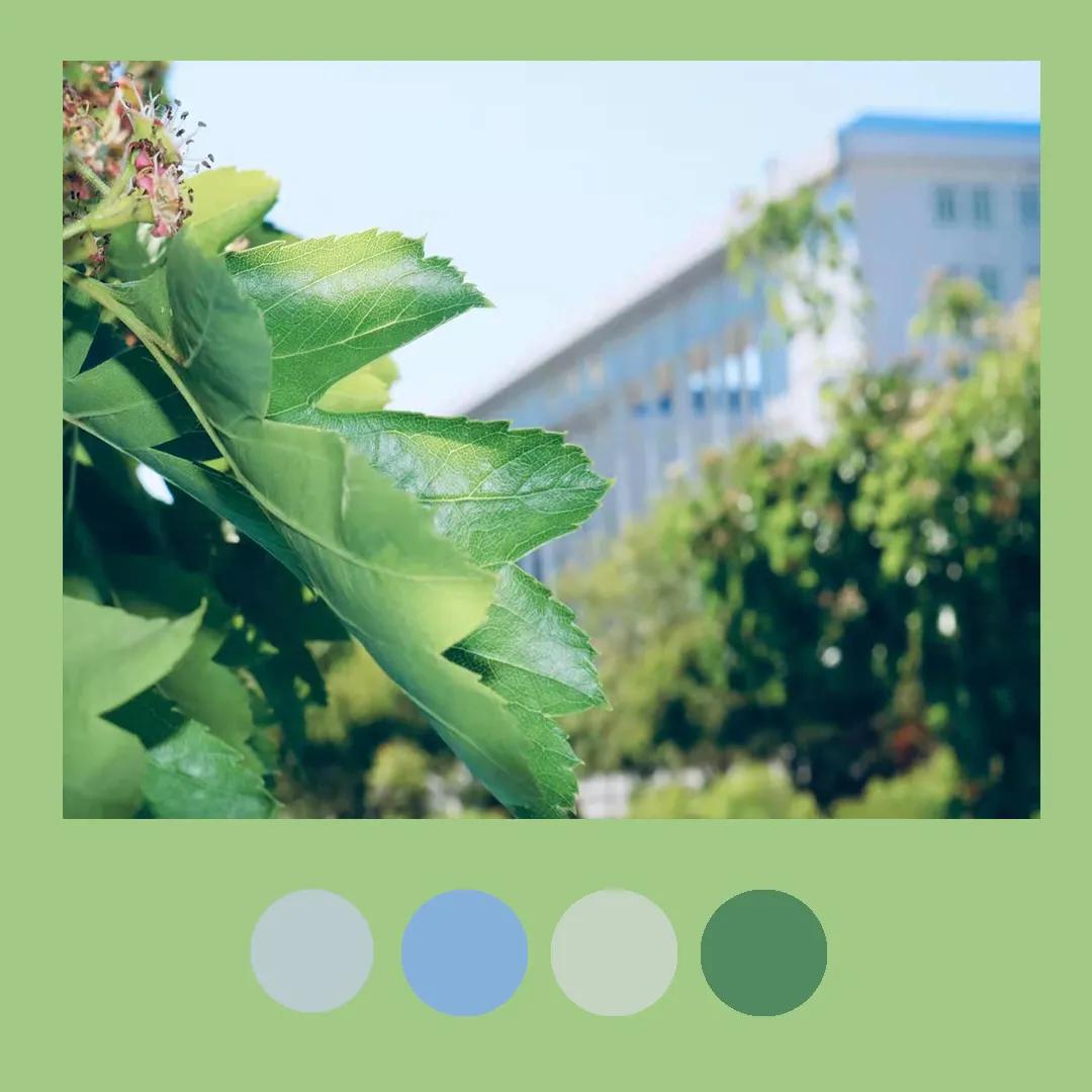 色彩里的构图,色彩中的光感