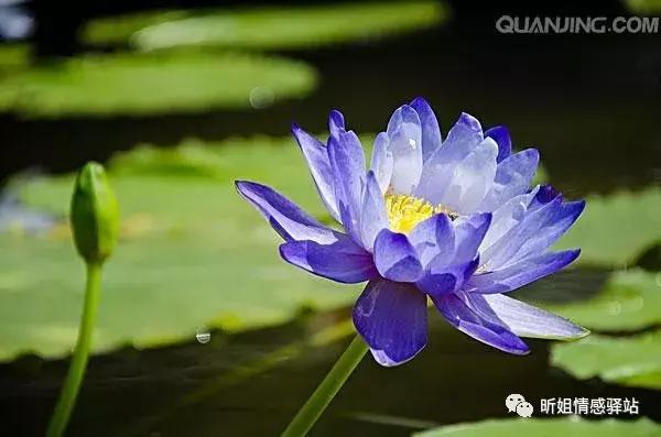 涂磊老师的经典语录句句见血,涂磊经典语录句句入心