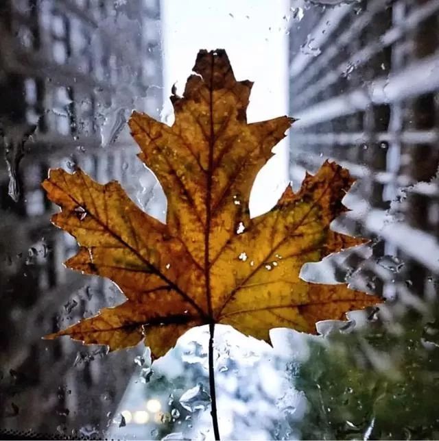 广东的秋天摄影,如何拍秋天风景照片