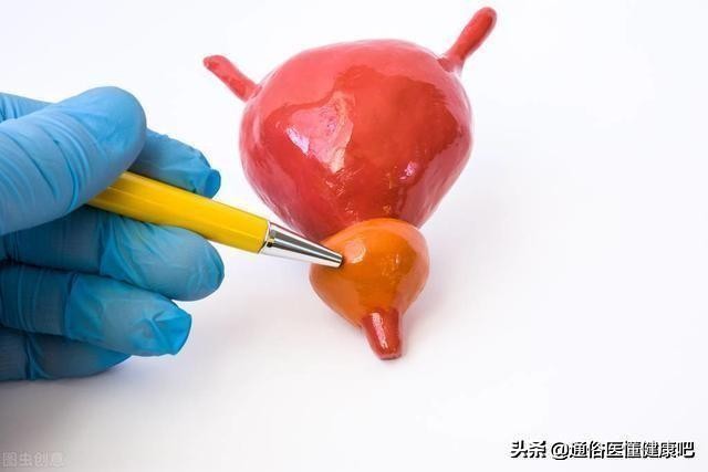 讨论男性的问题,男性普遍关心的话题是什么