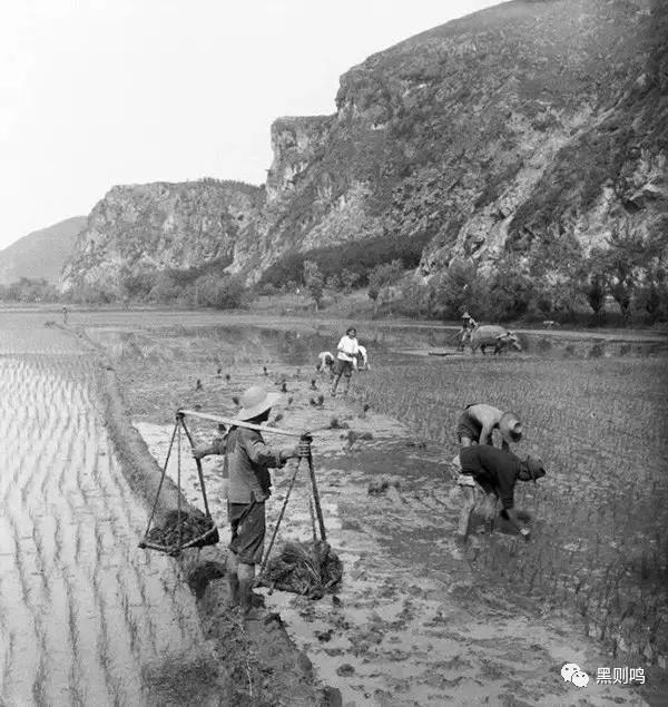 1934年的南京城,1944年南京视频