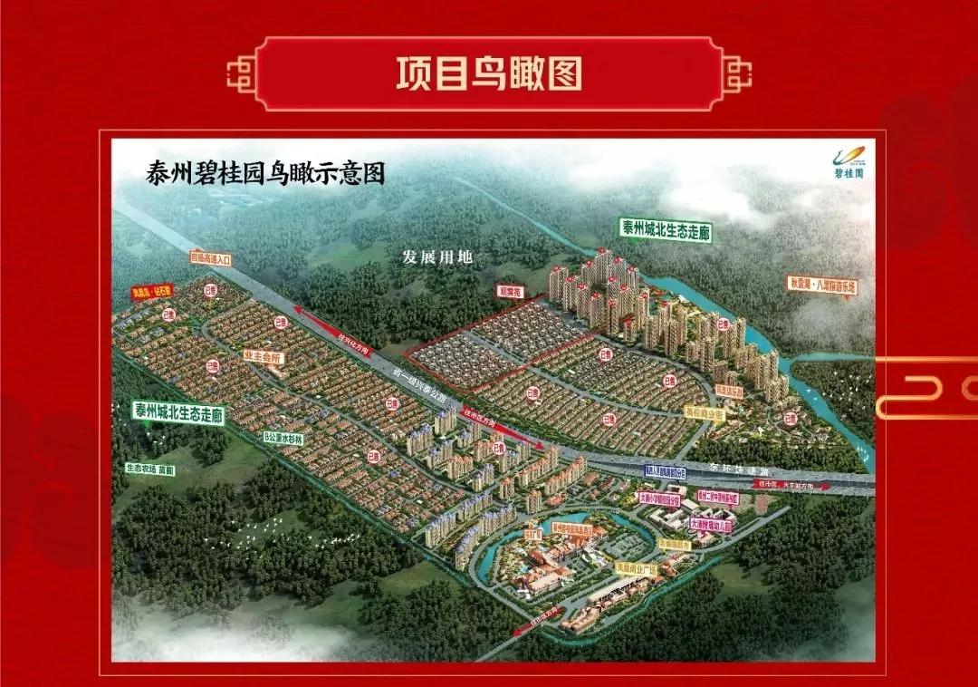 泰州硬核,太硬核了原视频