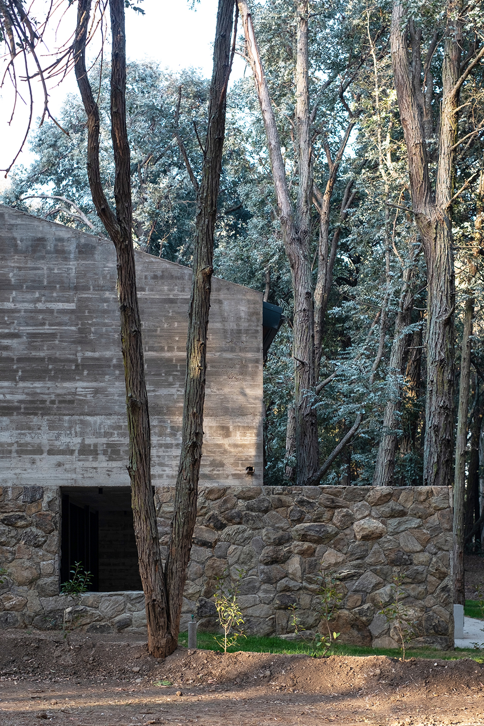 顺应场地高差,面向湖景:这个住宅看起来旧旧的,内部却光影斑驳