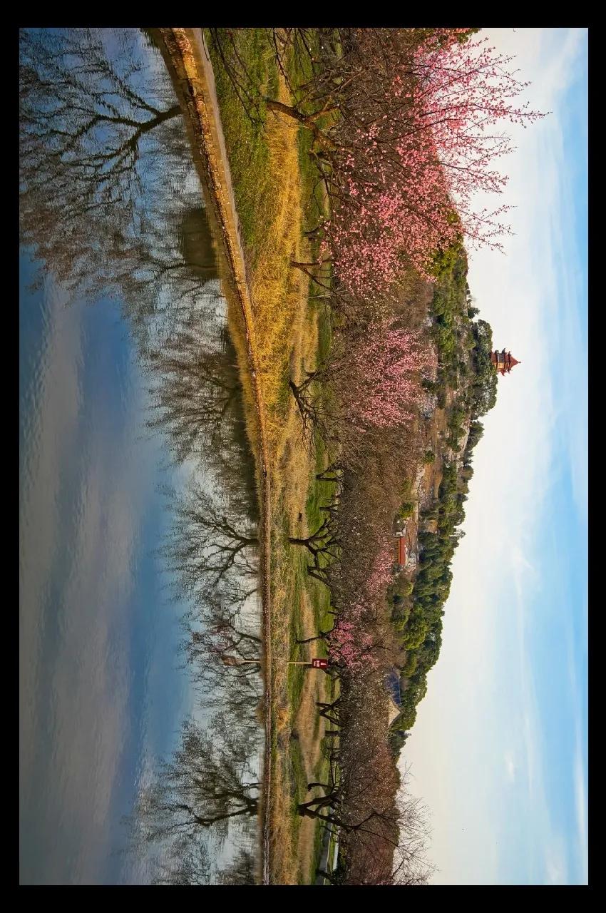 苏州西山有什么好的农家乐,苏州西山农家乐春节五日游