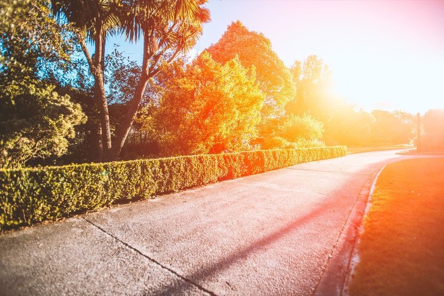 中国有名的四大传统文化,传统文化的八大维度