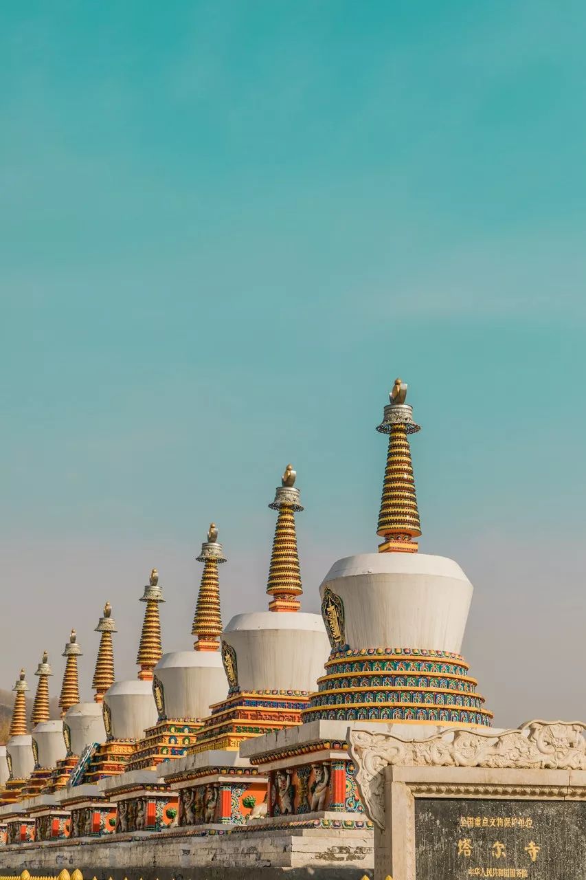 七月的青海湖美翻了,带你了解七月的青海