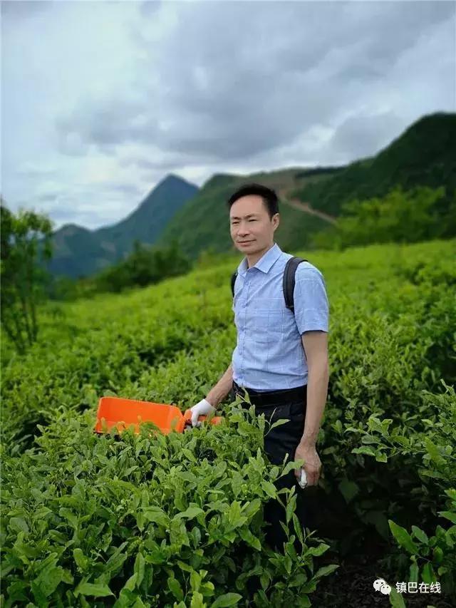 12岁辍学回农村种田,22岁小伙回陕西当农民