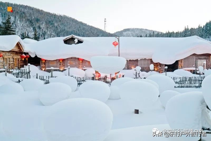 冬天漠河白桦林童话世界完整视频,冰雪大世界长白山雪乡六天五晚