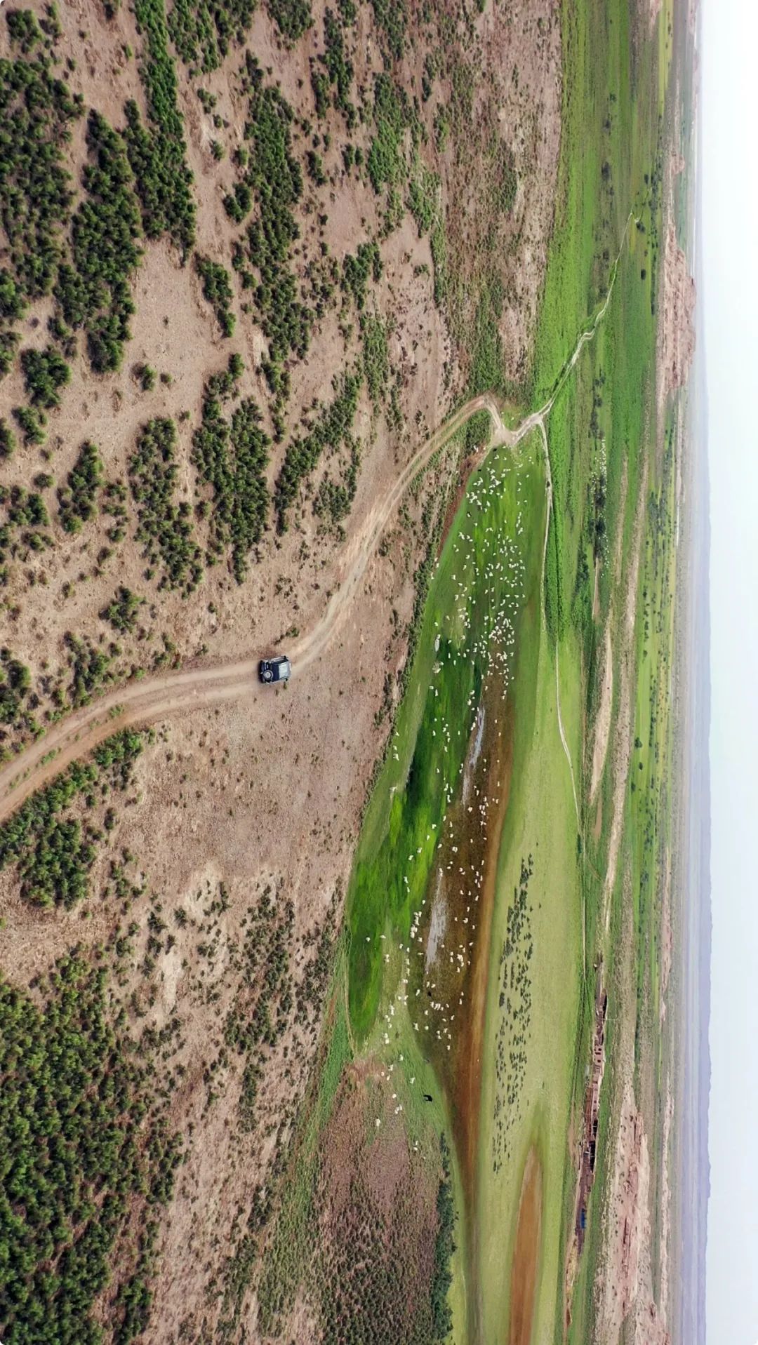 除了莫高窟、飞天、月牙泉，敦煌还藏着哪些极致风物？