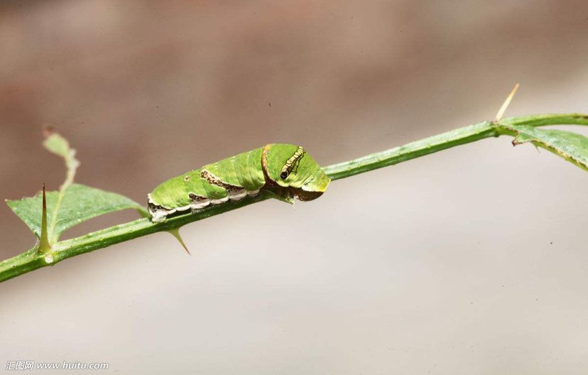 江湖十大残局骗局,十大江湖残局骗术
