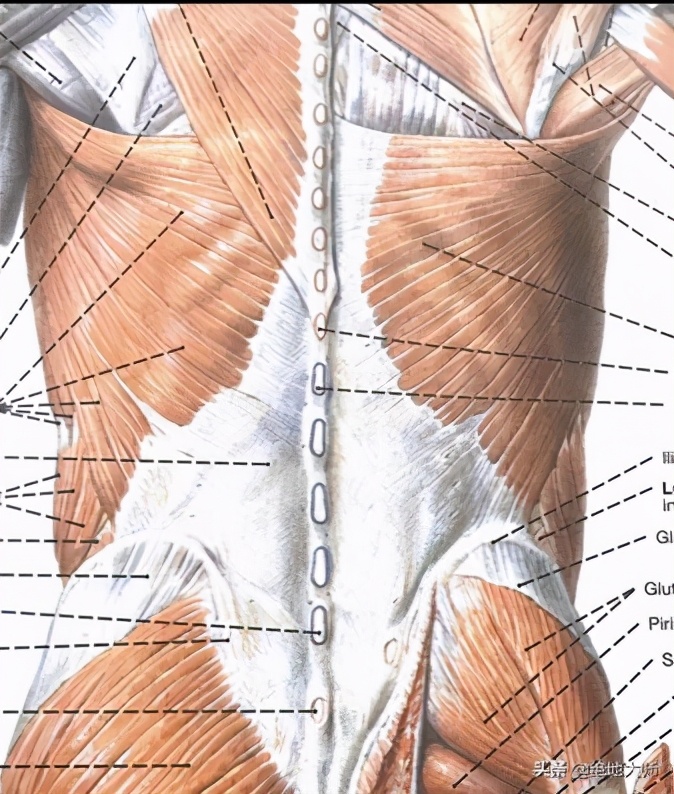 慢性颈痛推拿手法,慢性颈肩腰腿痛中医调养视频