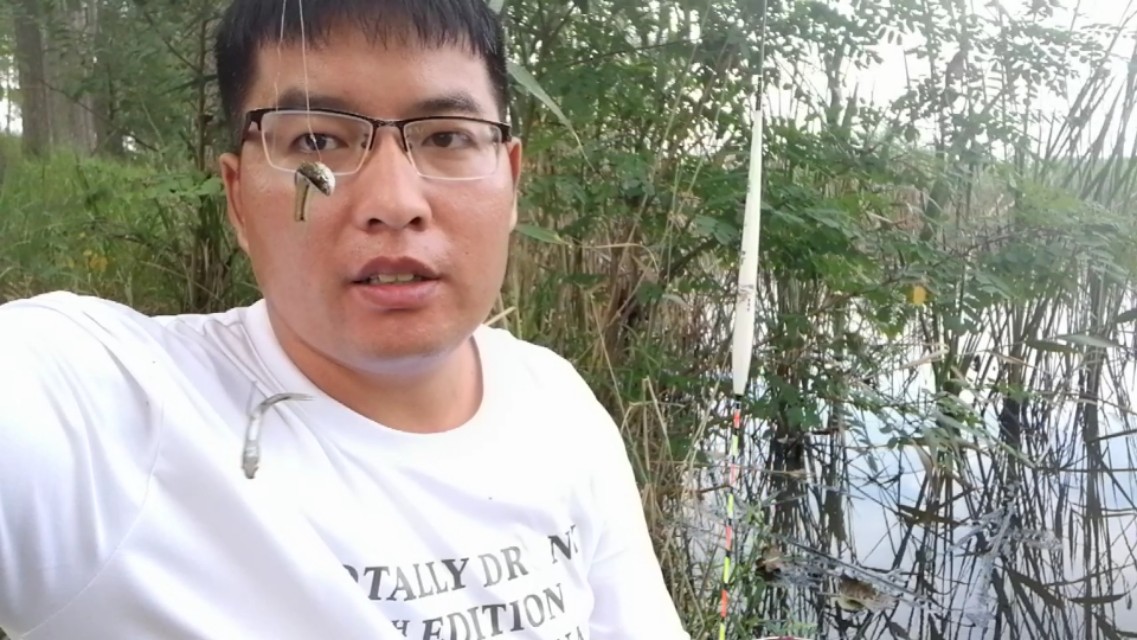 红虫蚯蚓颗粒搓饵拉饵哪种好,野钓用饵的配方