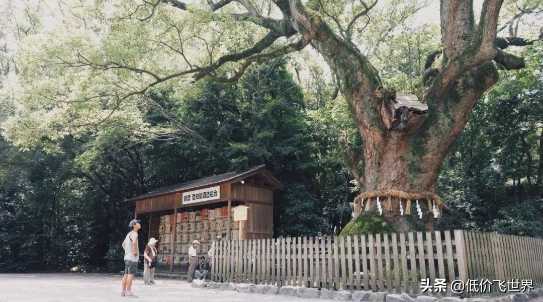 7周年促含税630起往返东京大阪/五星航空1K8名古屋/1K5贝加尔湖