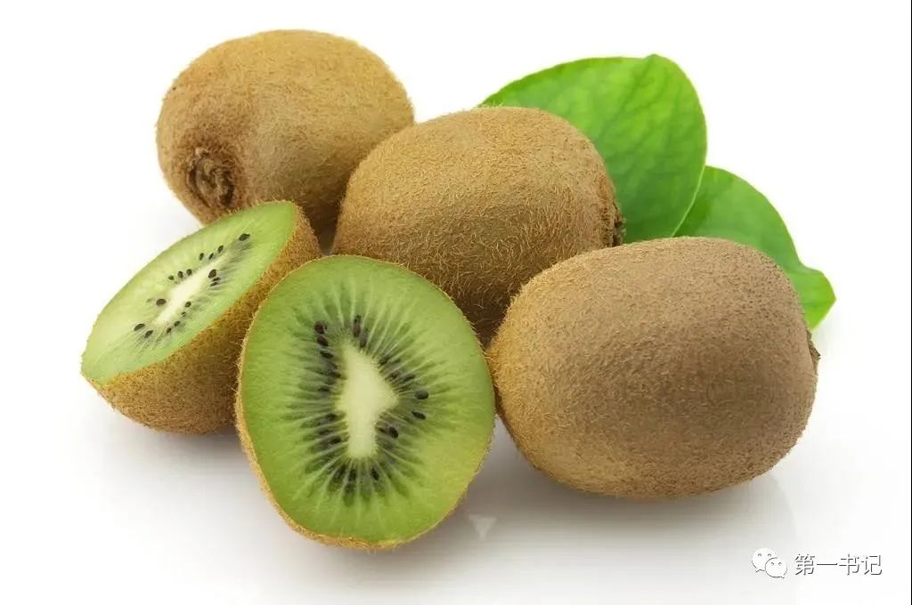 食用菌产业为贫困户撑起致富伞,菇中精品椴木香菇