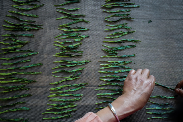 太平猴魁TaipingHoukuiTea