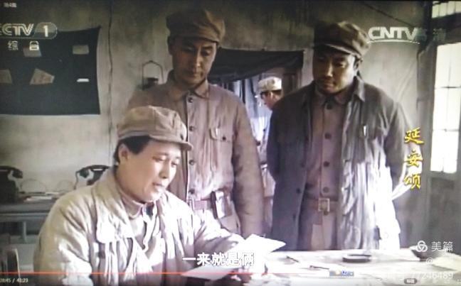 *园春沁**·雪毛*东泽**