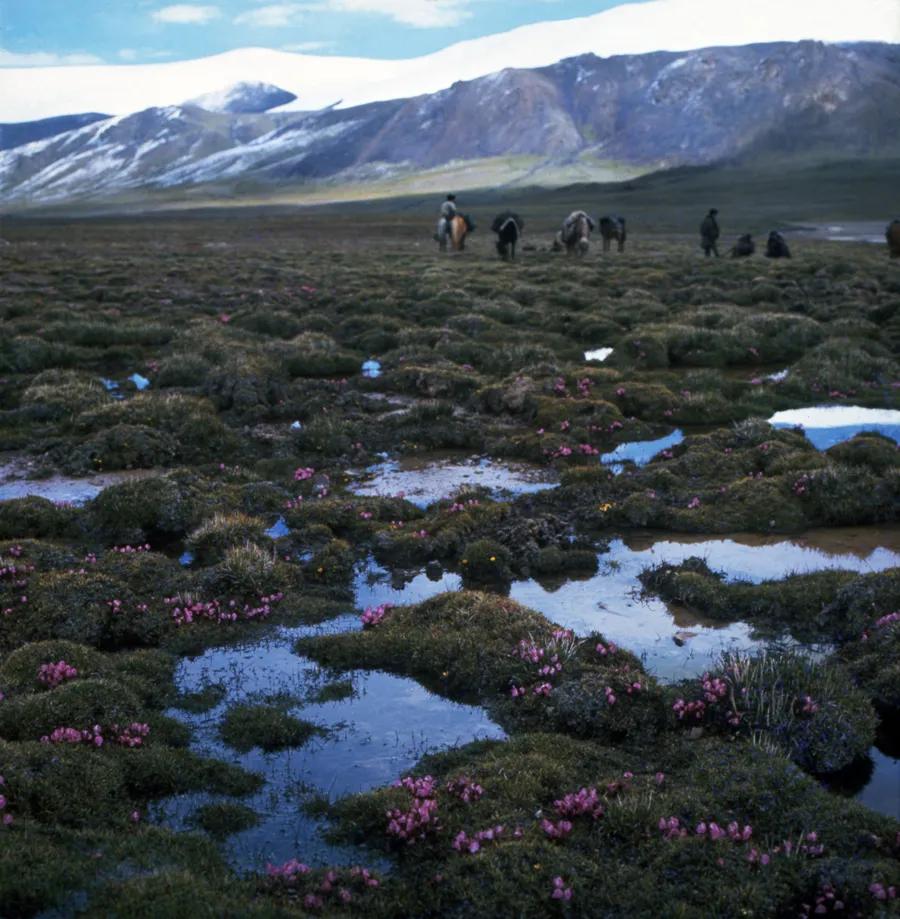 深深悼念|“长江全程摄影第一人”沈延太