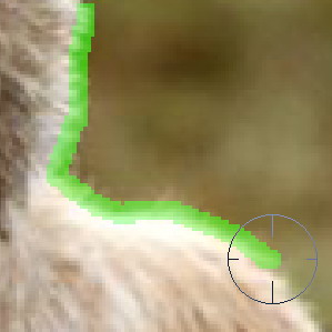 17版ps抠图最快又完整的方法,21版本ps抠图最快又完整的方法