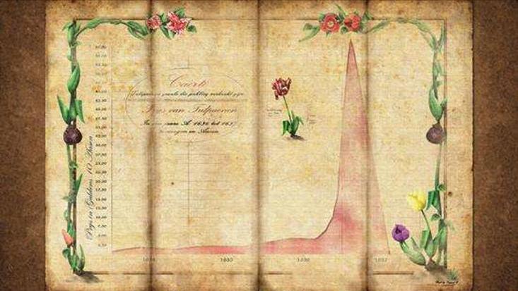 郁金香泡沫谁挣了钱,郁金香引发的金融泡沫