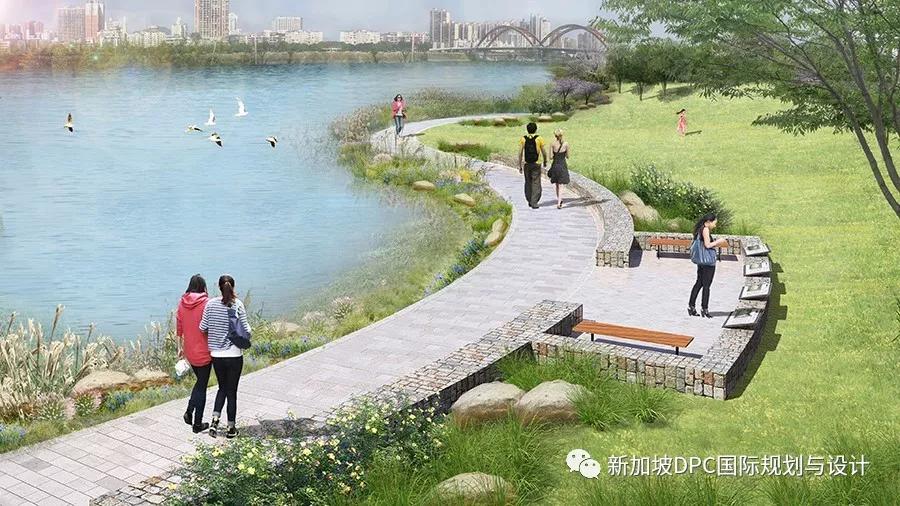 被盛赞“很精彩！很惊艳！很欣喜！”南充最美公园华丽来袭|DPC