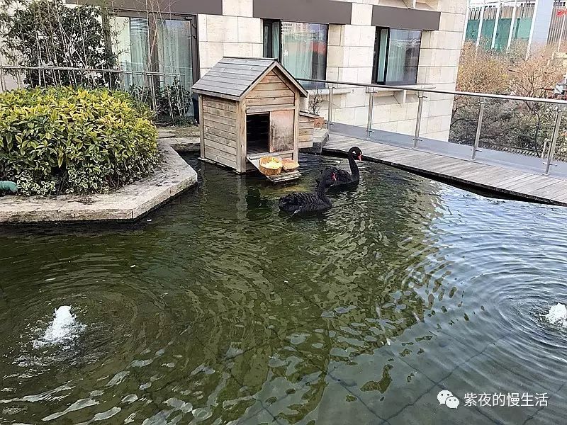 南京总统府府邸,南京圣和府邸