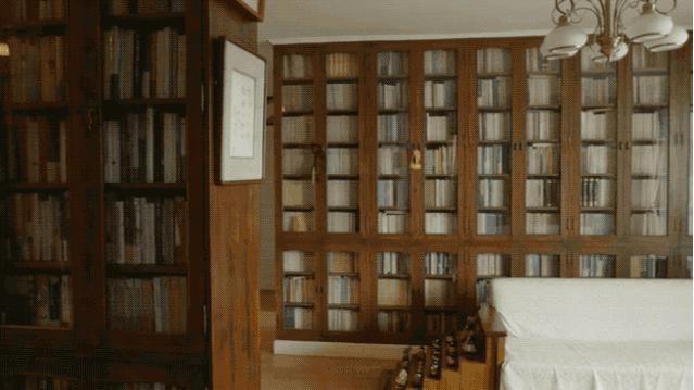 顶级名画牡丹花,顶级古代名画