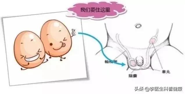 泌尿外科那点事儿公众号,泌尿外科那些事儿