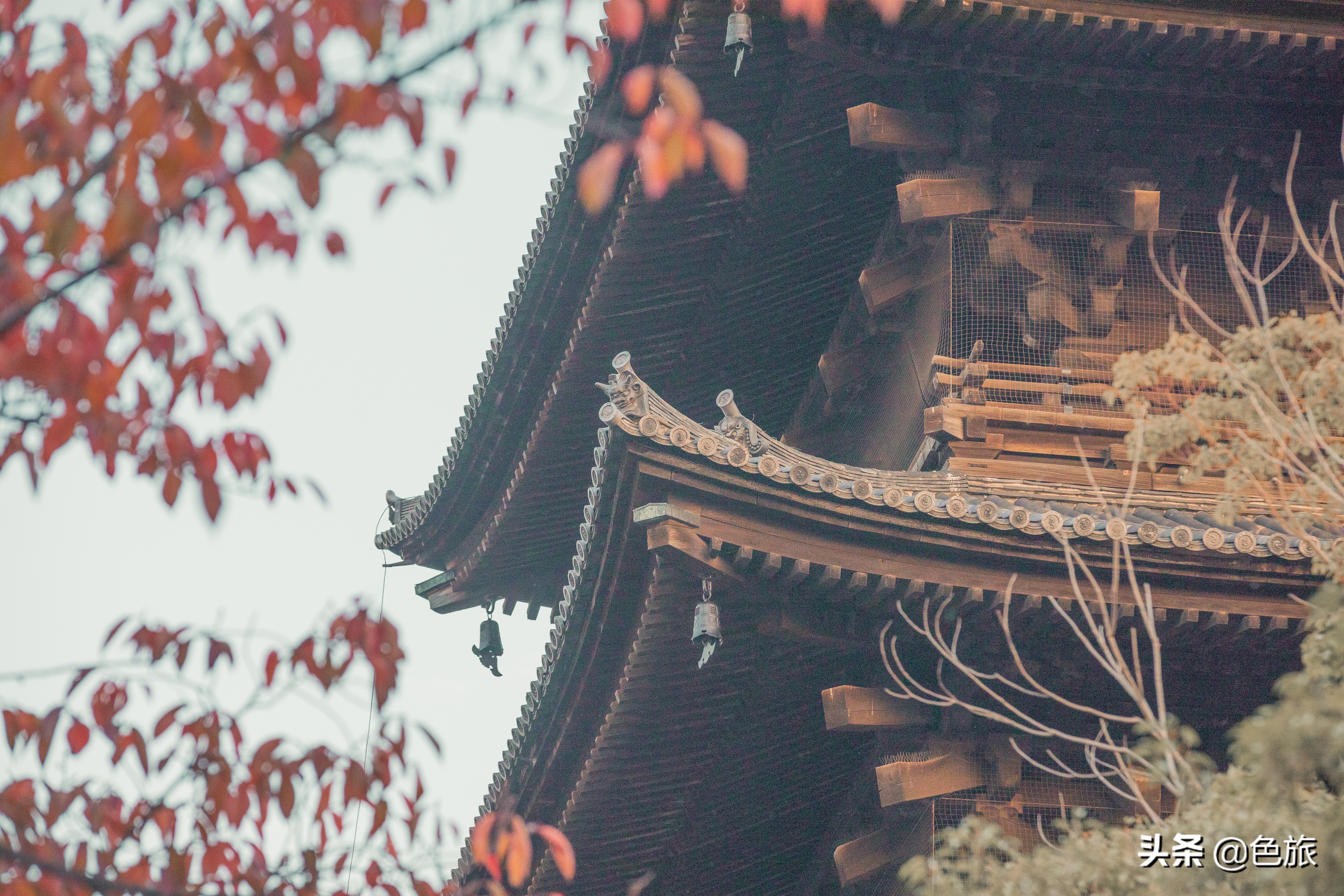 妖猫传日本访唐,妖猫传日本大师