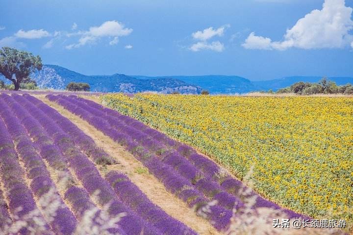 法国自由行攻略,法国攻略