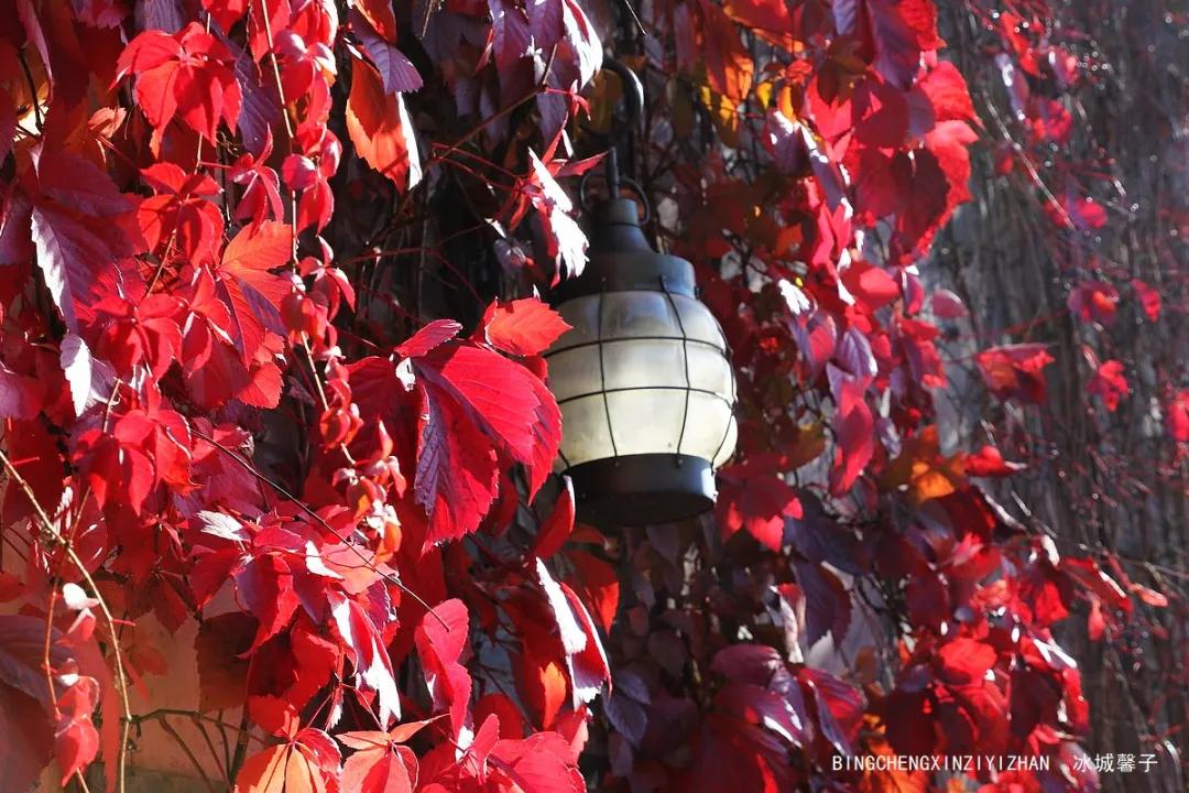 邂逅长城下的小镇北京古北水镇,邂逅长城下的北京古北水镇